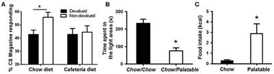 Neuroscience of Compulsive Eating Behavior